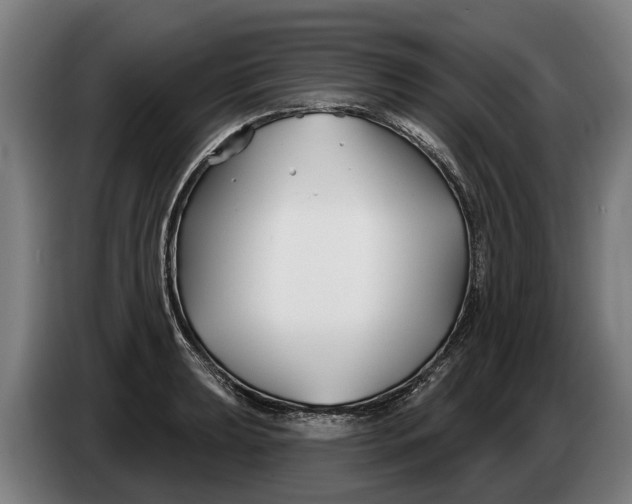 X0000086321039200704202018