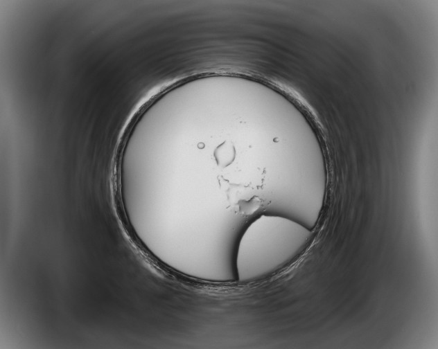 X0000086321040200704202018