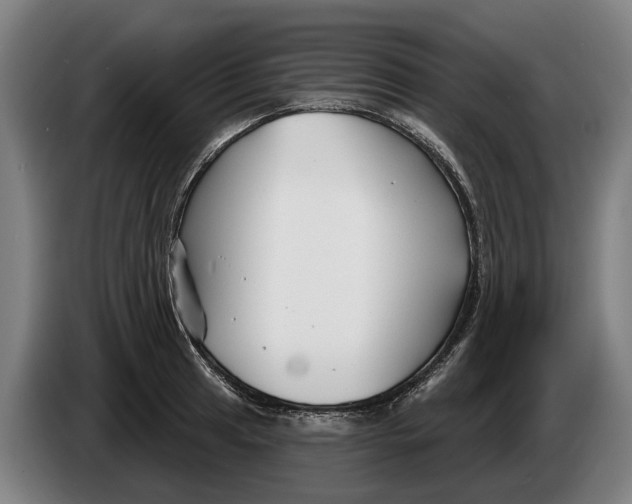 X0000086321041200704202018