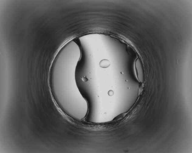 X0000086321042200704202018