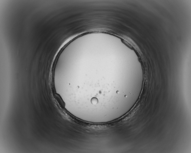 X0000086321044200704202018