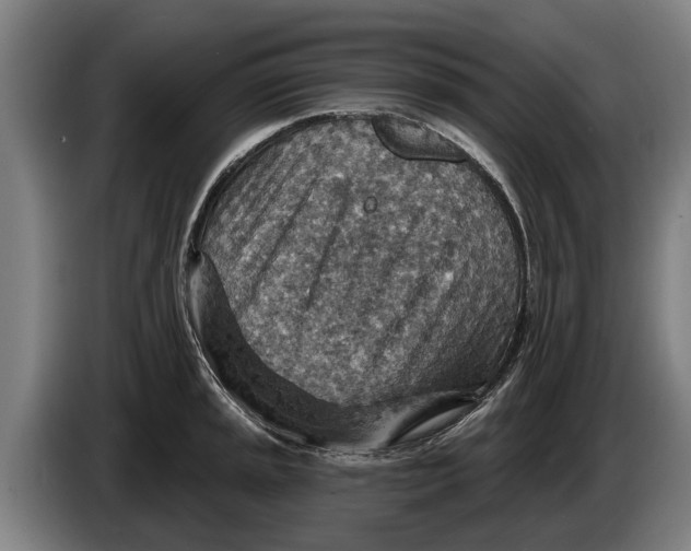 X0000086321045200704202018