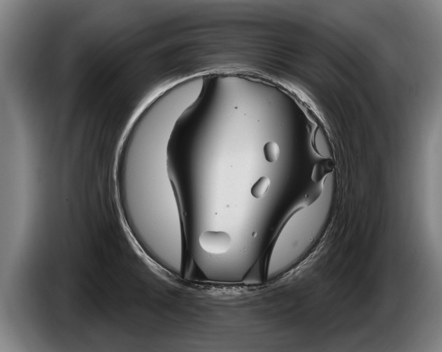 X0000086321046200704202018