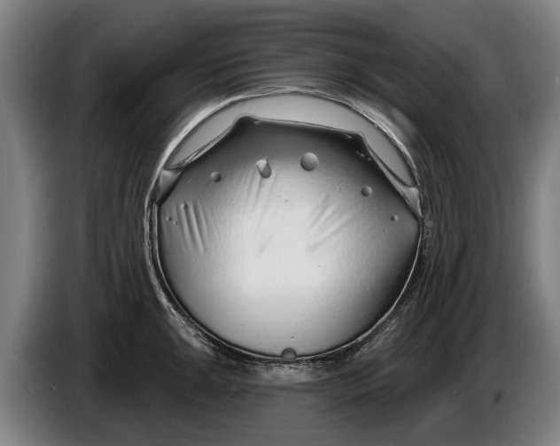 X0000086321047200704202018