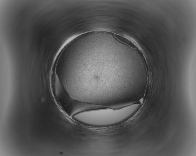 X0000086321048200704202018