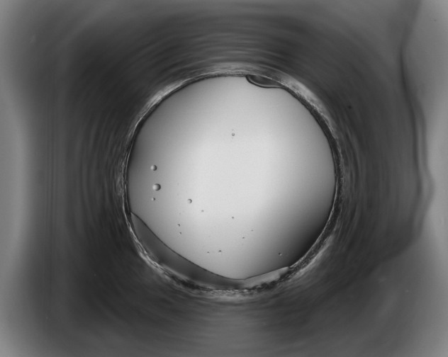 X0000086321049200704202018