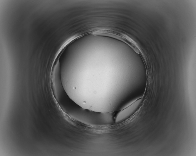 X0000086321050200704202018