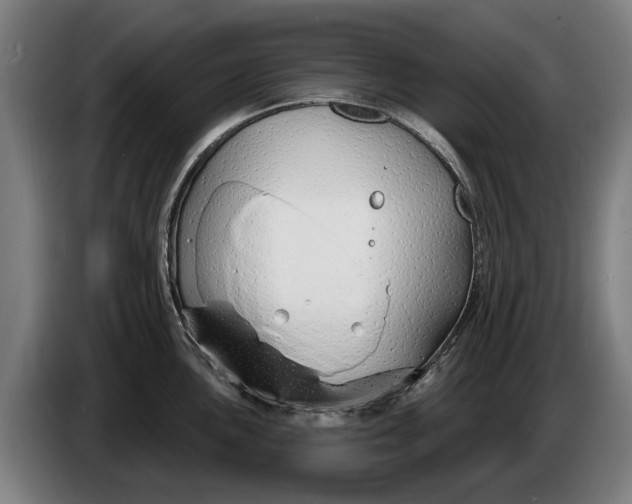 X0000086321051200704202018