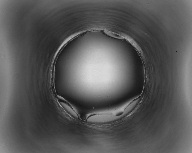 X0000086321052200704202018