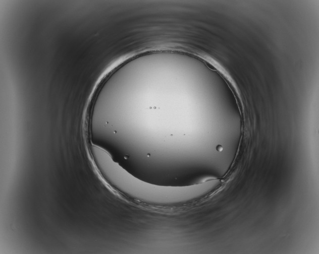 X0000086321053200704202018