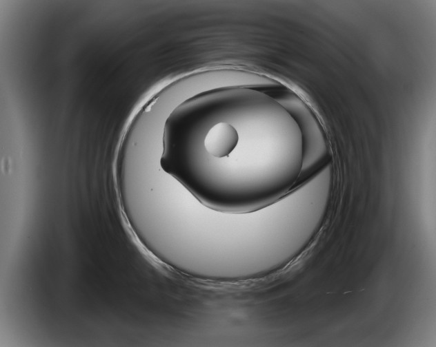 X0000086321054200704202018