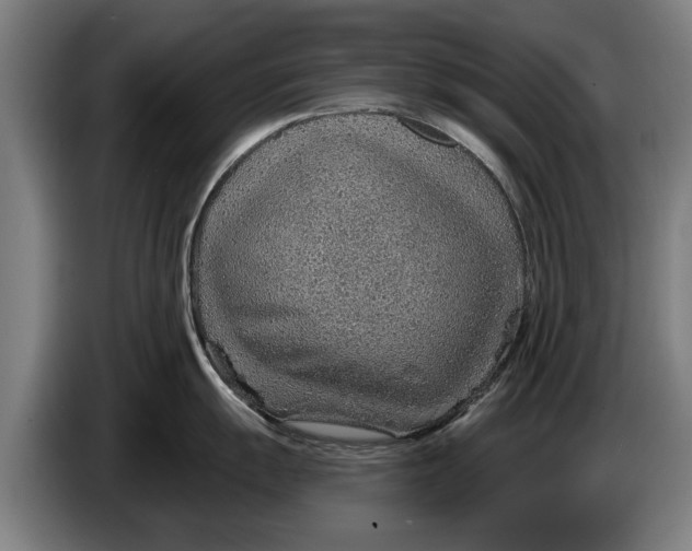 X0000086321055200704202018