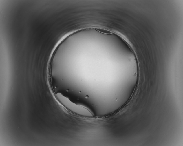 X0000086321056200704202018