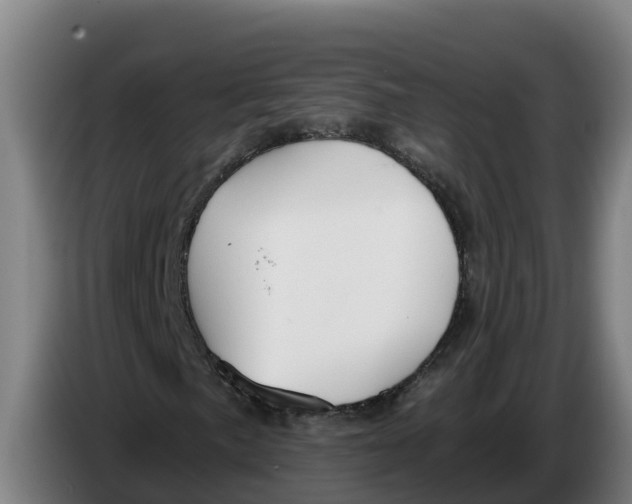 X0000086321057200704202017