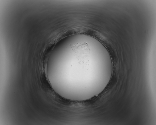 X0000086321058200704202017