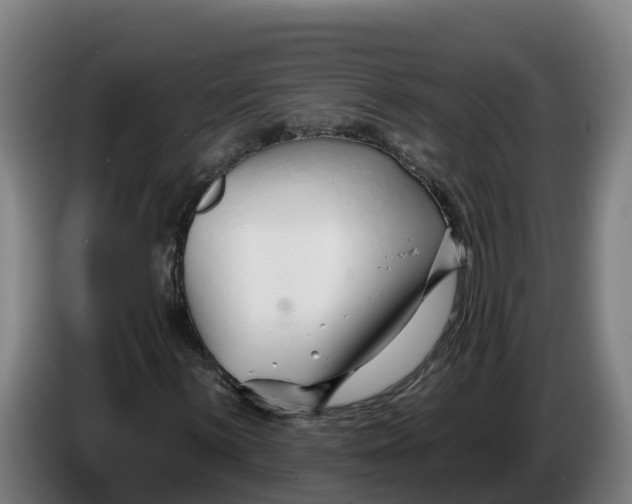 X0000086321059200704202017