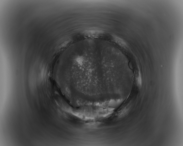 X0000086321060200704202017