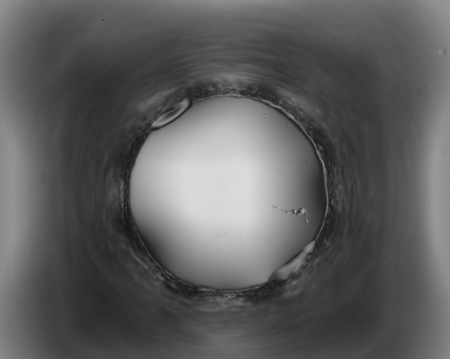 X0000086321061200704202017