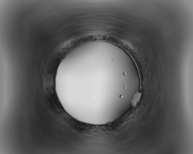 X0000086321062200704202017