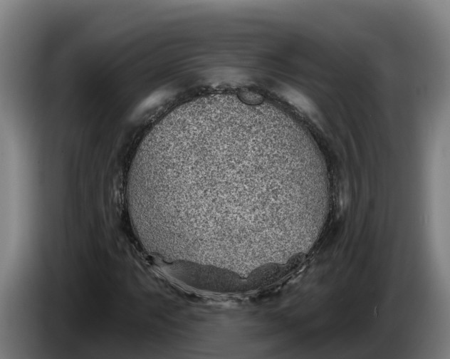 X0000086321063200704202017