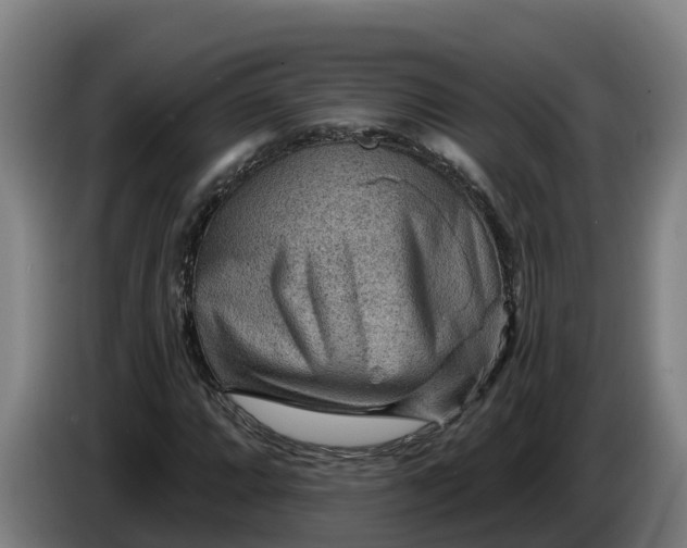 X0000086321064200704202017