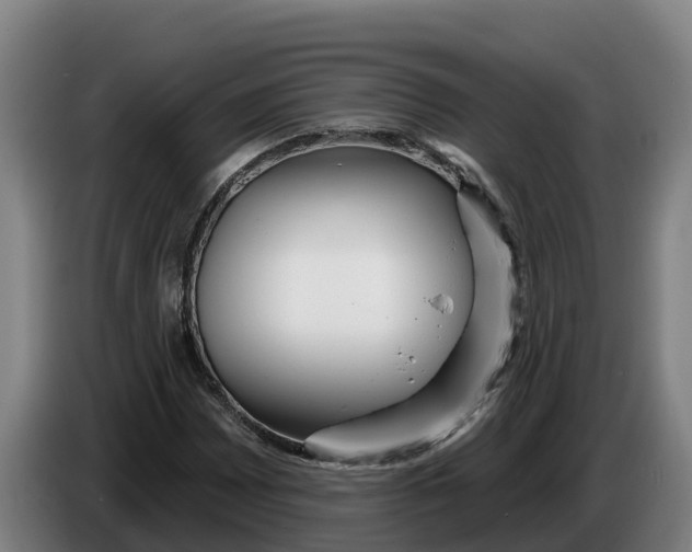 X0000086321065200704202017