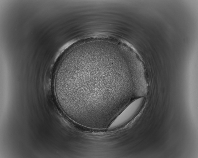 X0000086321066200704202017