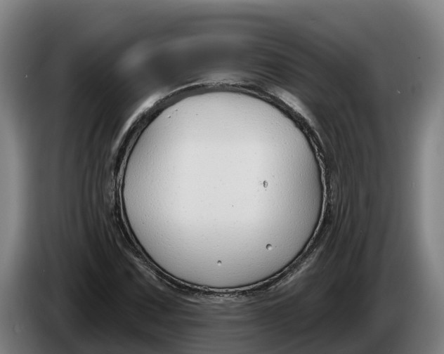 X0000086321067200704202017