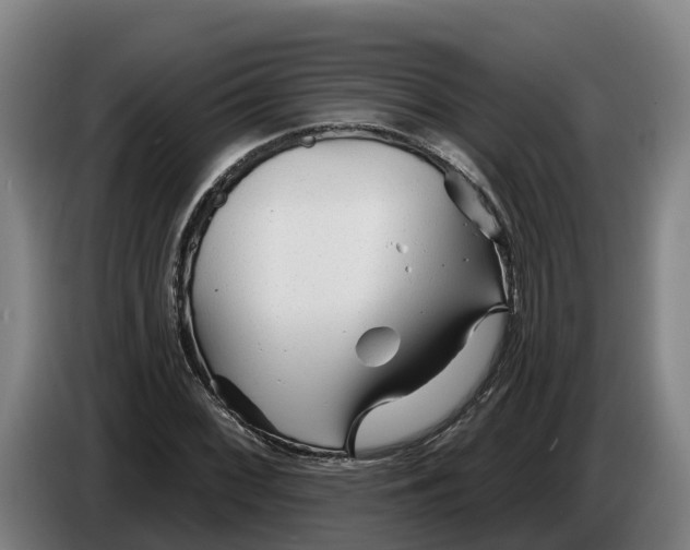 X0000086321068200704202017