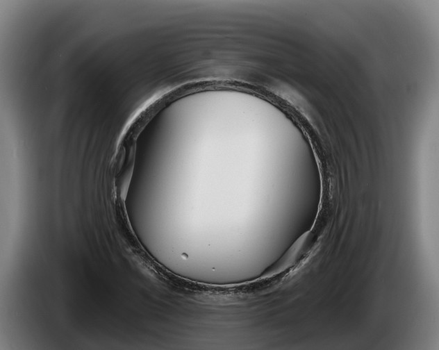 X0000086321069200704202017