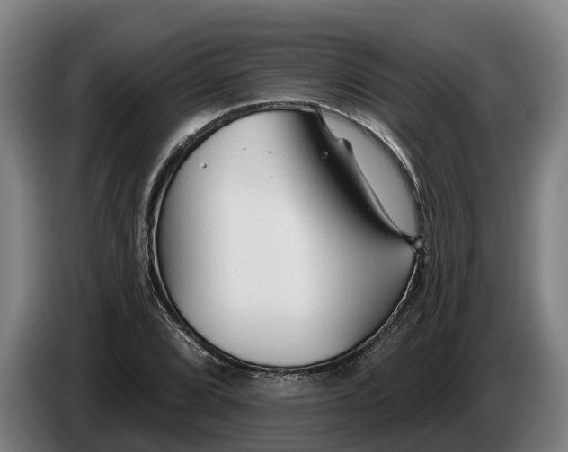 X0000086321072200704202017