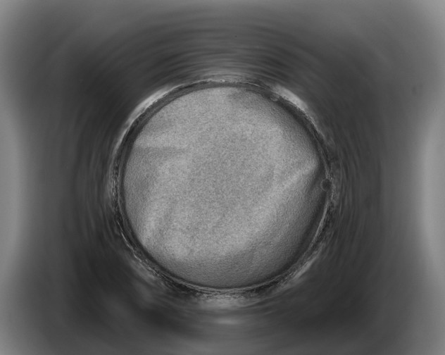 X0000086321074200704202017