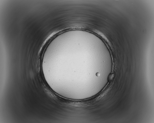 X0000086321075200704202017