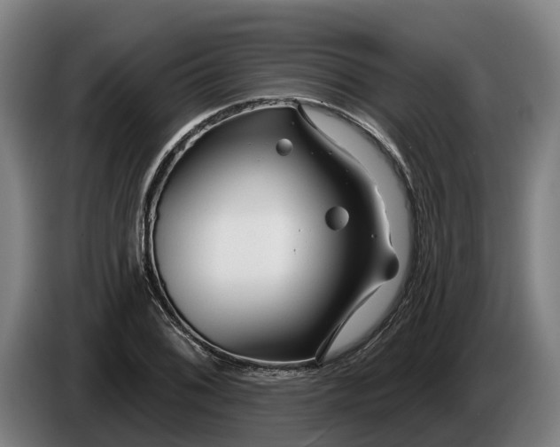 X0000086321076200704202017