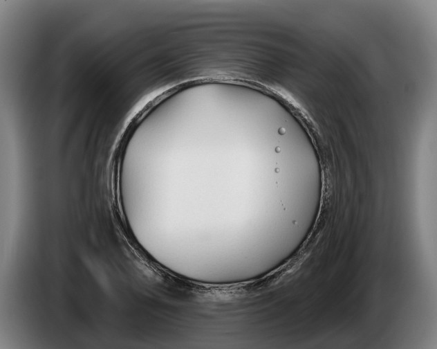 X0000086321078200704202017