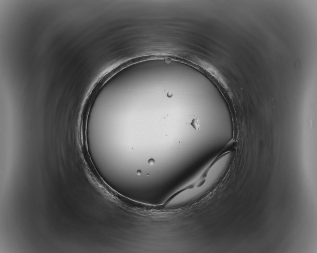 X0000086321080200704202017