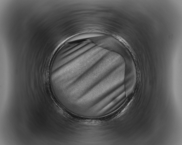 X0000086321081200704202017