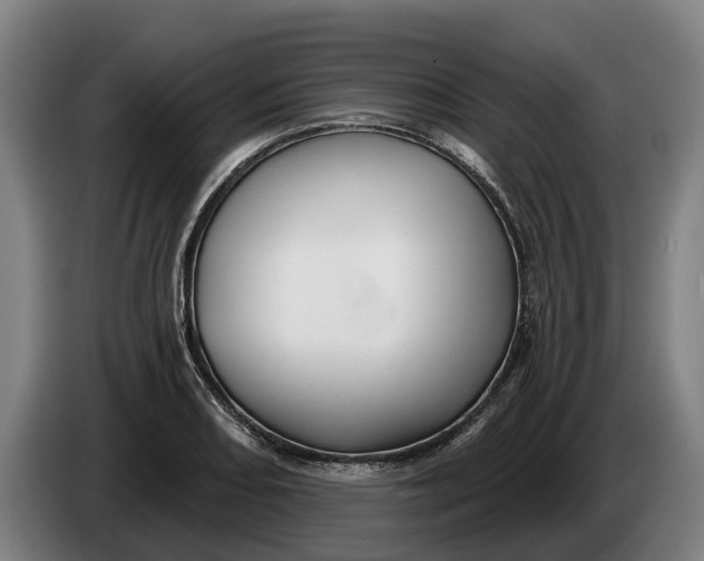 X0000086321082200704202017