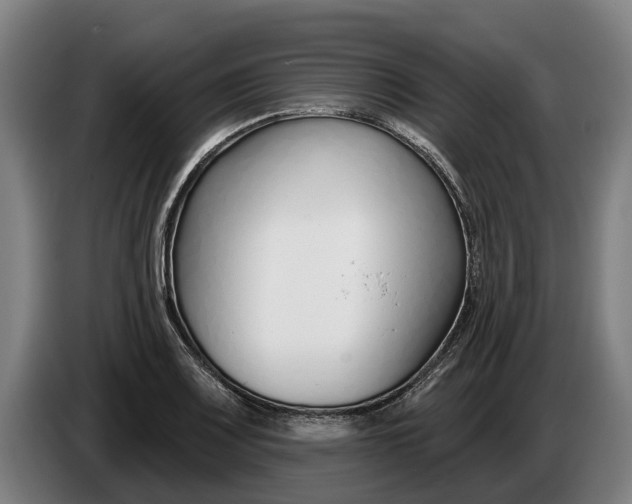 X0000086321083200704202017