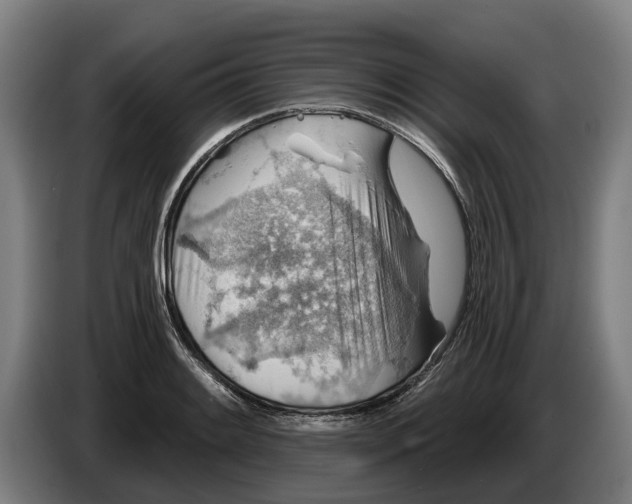 X0000086321084200704202017