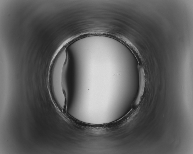 X0000086321085200704202017