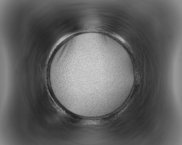 X0000086321086200704202017