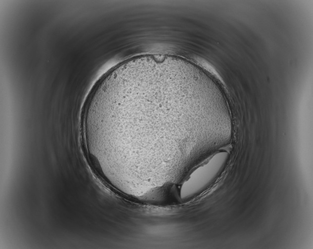 X0000086321087200704202017