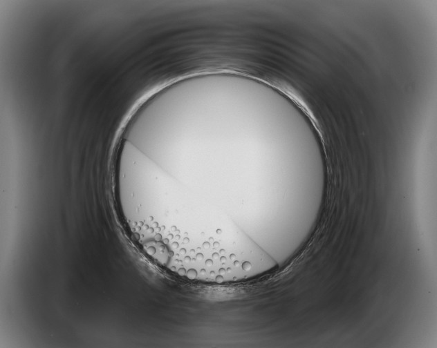 X0000086321088200704202017