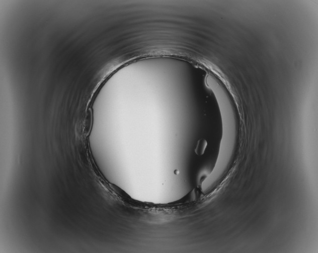 X0000086321089200704202017