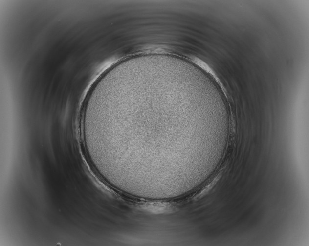 X0000086321090200704202017