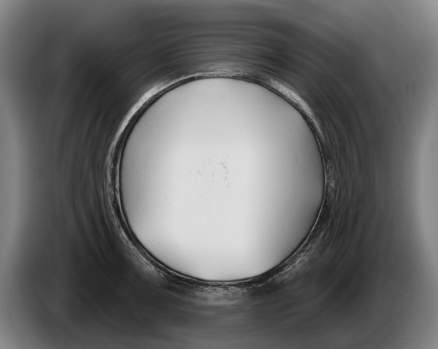 X0000086321091200704202017