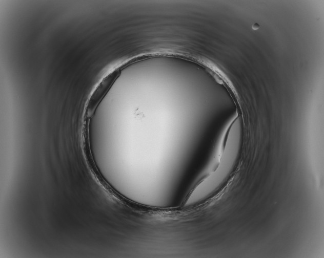 X0000086321093200704202017