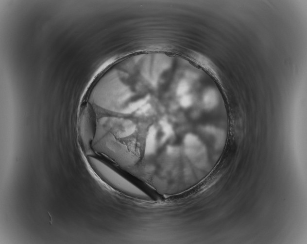 X0000086321095200704202017