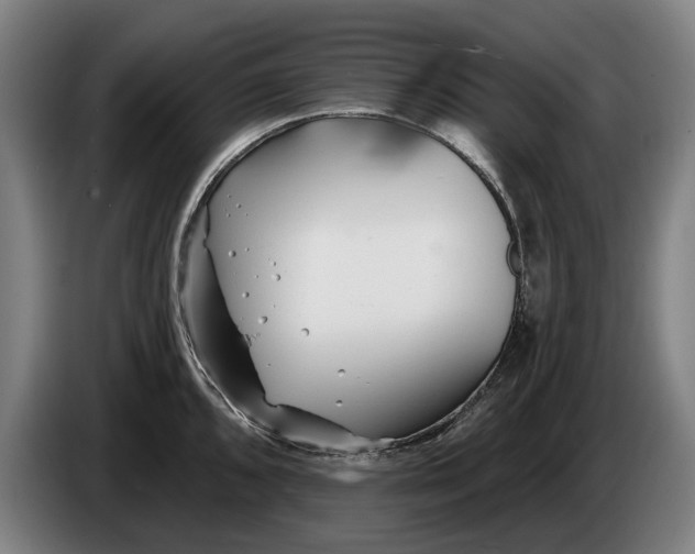 X0000086321096200704202017